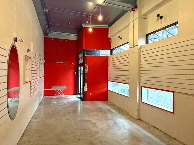 137A Alexandra Street Central Hamilton Central_1