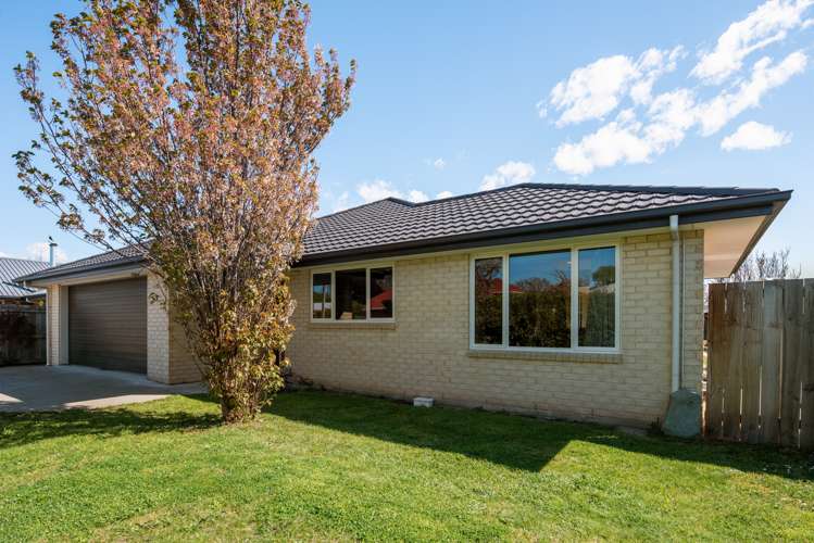 17 Alma Street Renwick_19