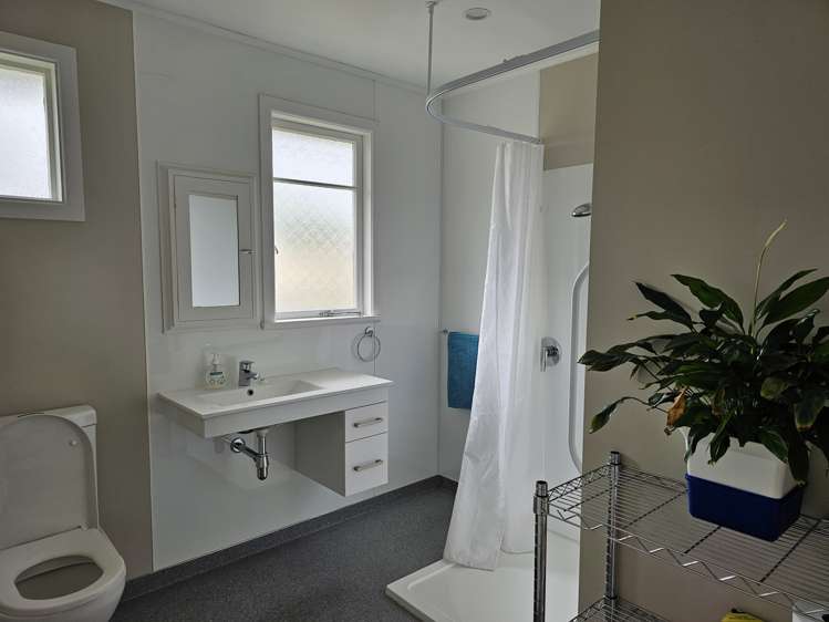 6 Nelson Street Levin_6