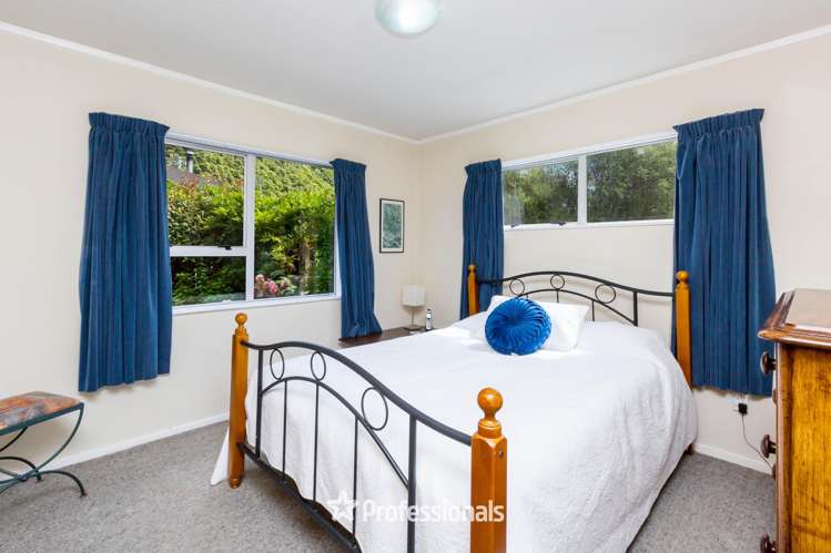 1 Gemstone Drive Birchville_5