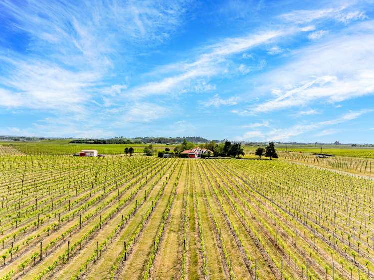 49 Gimblett Road Roys Hill_23