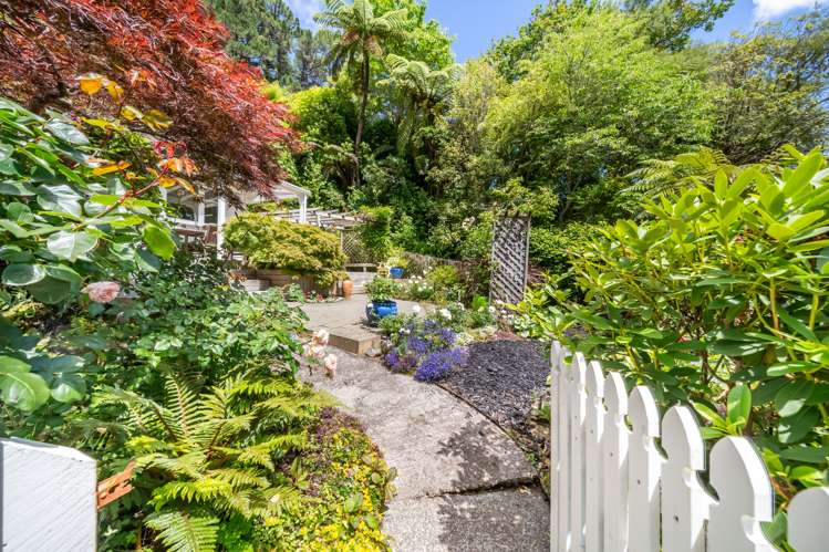 58 Jocelyn Crescent Pinehaven_2