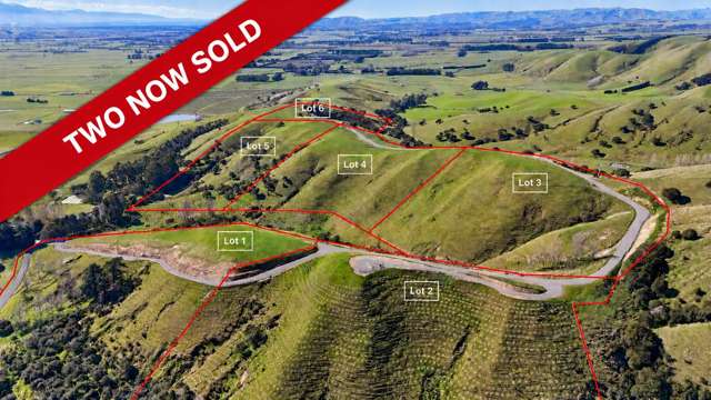 Okoura Ridge — Your Wairarapa Dream Starts Here.