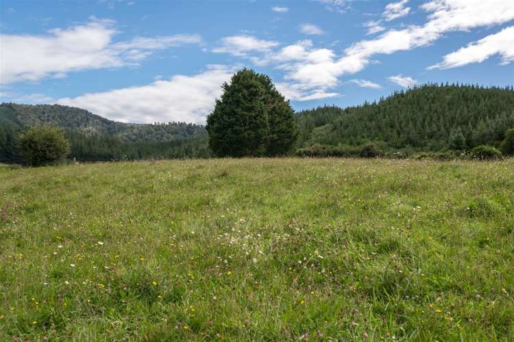 64 Hills Road Rai Valley_20