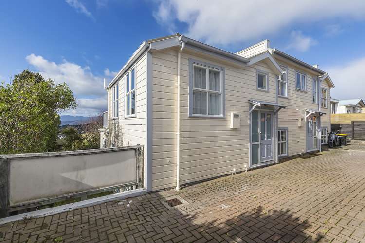 6/25 Mana Street Vogeltown_0