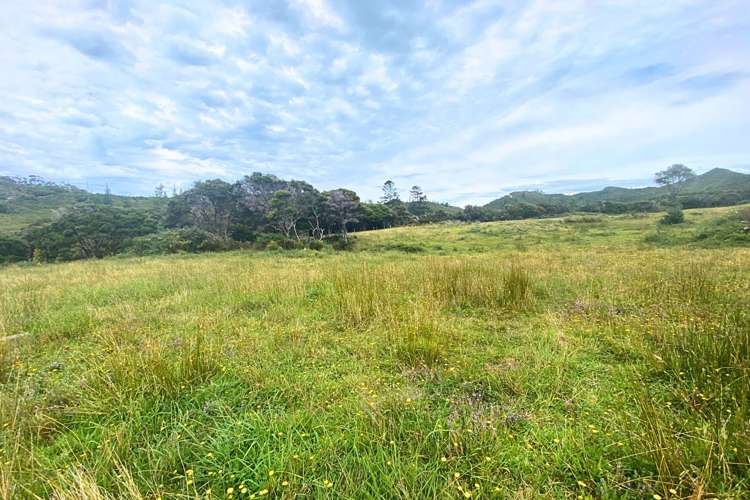 Lot 3/161 Wharariki Road Puponga_19