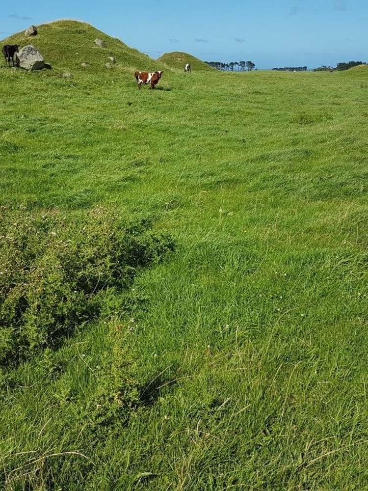 349 Ihaia Road Opunake_39