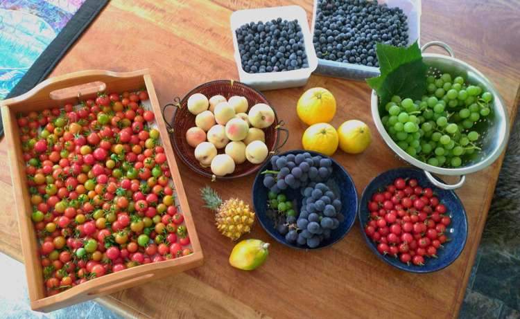 79 Grahamtown Road Onerahi_15