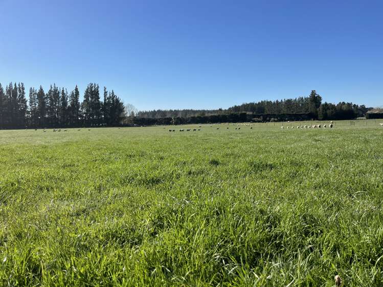 185 McIntoshs Road Fernside_10