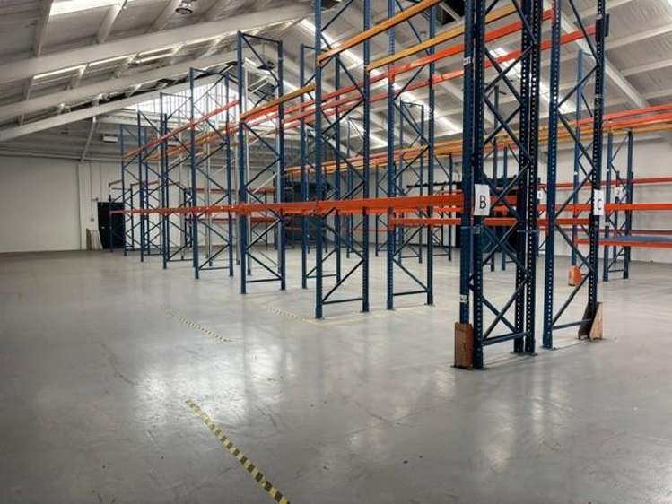 105 Wordsworth Street Sydenham_5