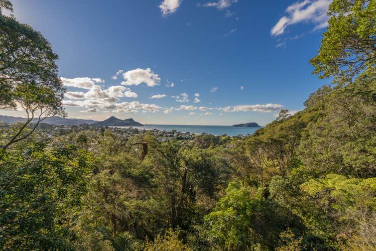 49 Mount Avenue Pauanui_21