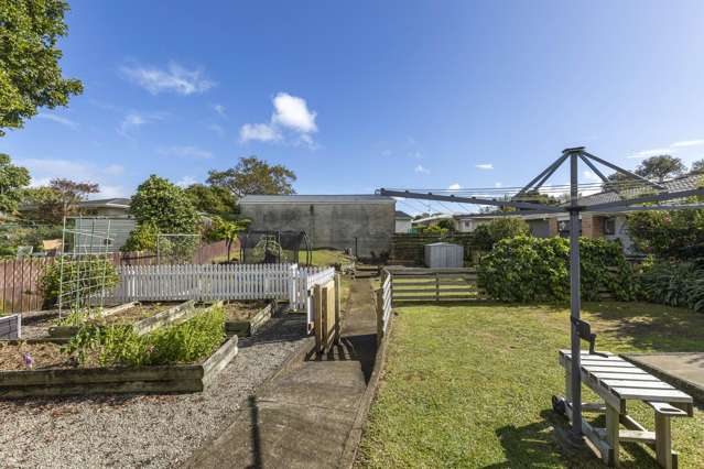 15 Tarahua Road Vogeltown_2