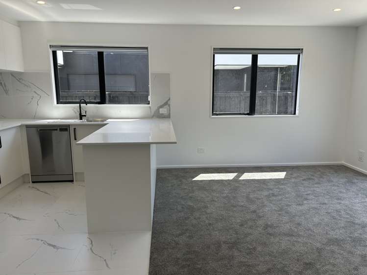 117d Edinburgh Street Spreydon_3