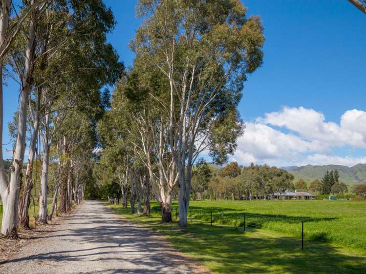 1119 Waihopai Valley Road Waihopai Valley_15