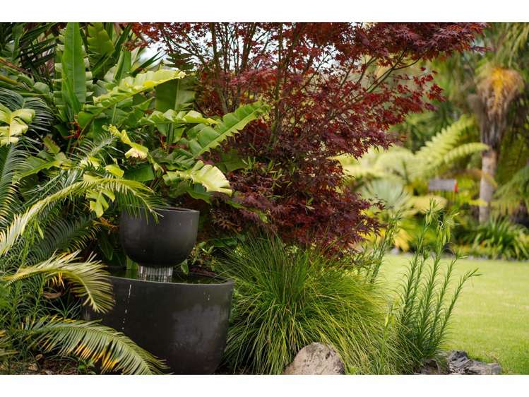 14 Campbell Lane Kerikeri_11