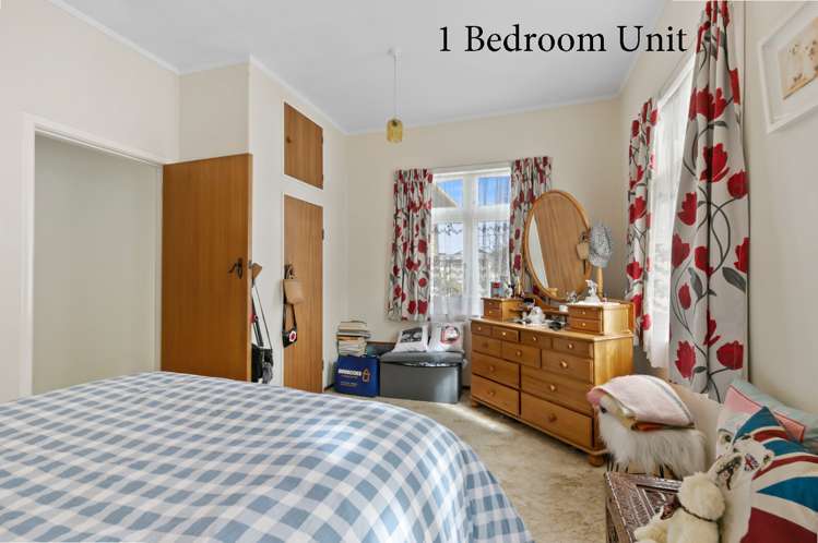 56 Rotherham Terrace Miramar_13