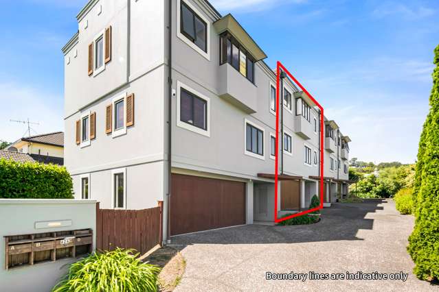 624b Manukau Road Epsom_1