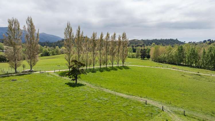 98 Thorpe-Orinoco Road Ngatimoti_7