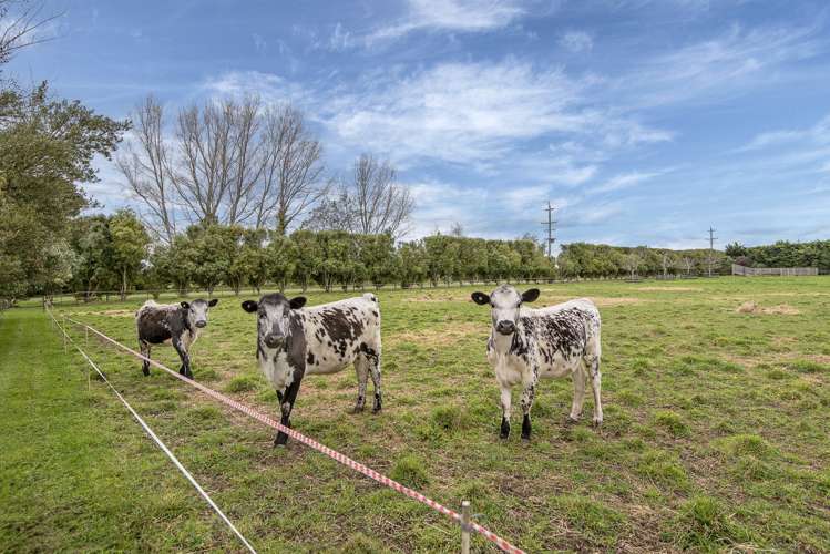 478 Newtons Road Rolleston_21