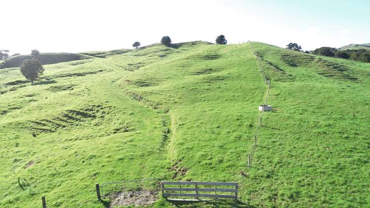 386 Pawarenga Road Broadwood_11