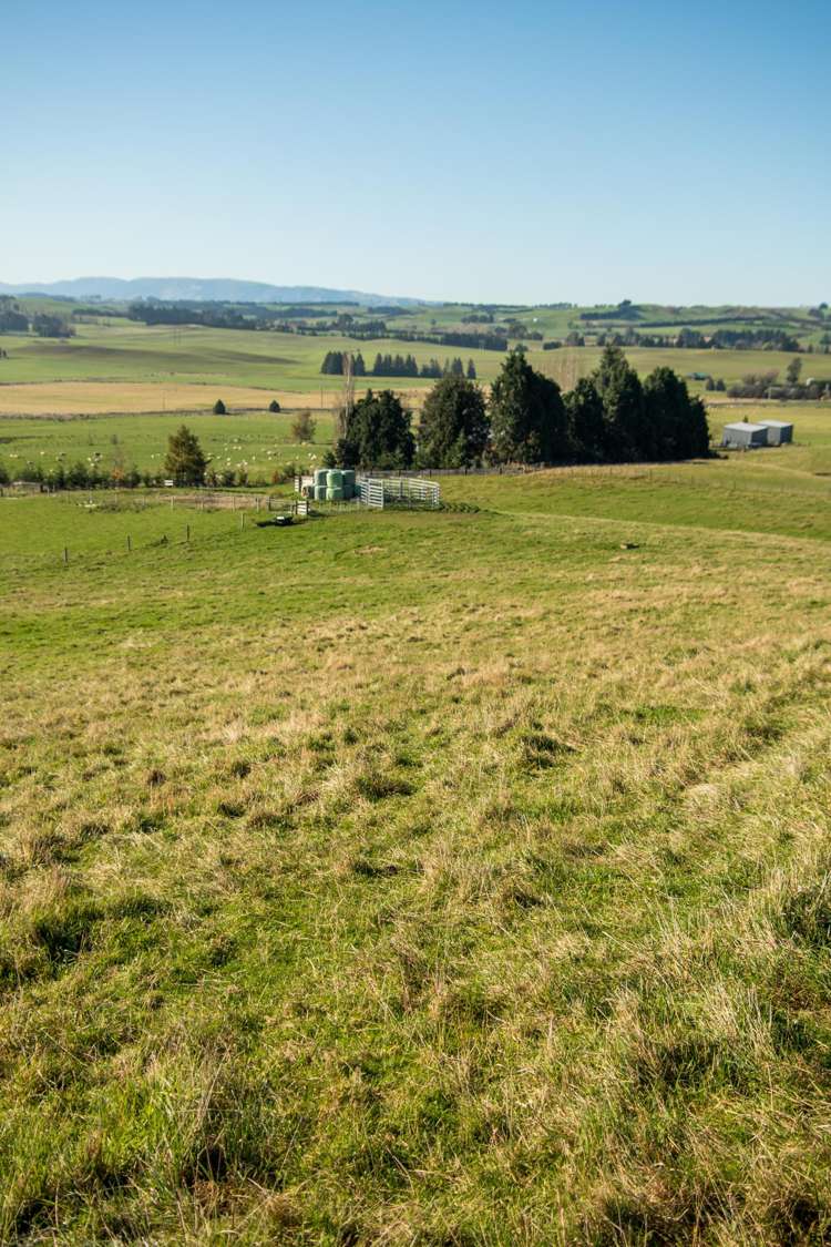 89C Mckinnon Road Mcnab_6