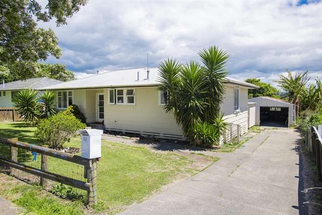 44 Lyell Road Outer Kaiti_1