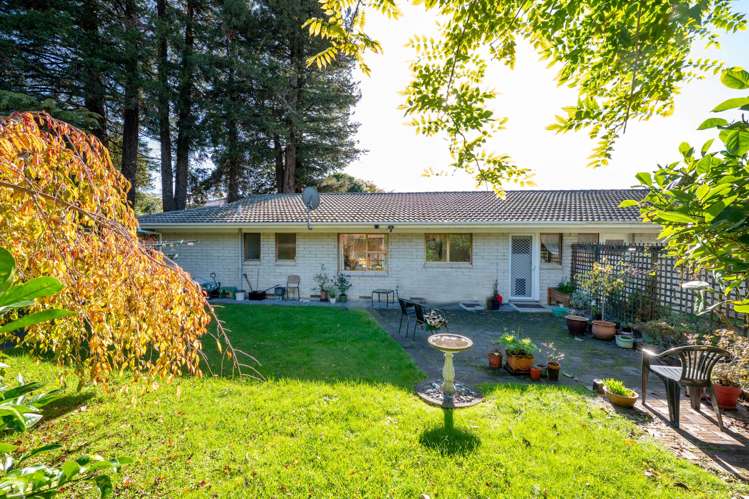 9a Galbraith Street Springfield_11