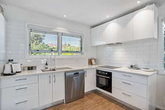 12 Noton Road Mount Roskill_3