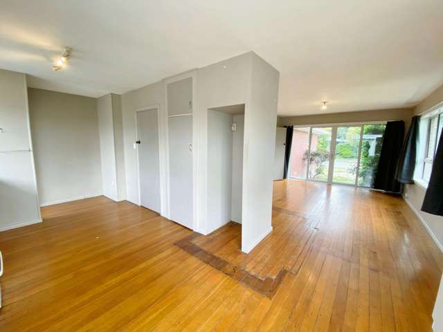 9 Gladson Av Upper Riccarton_4