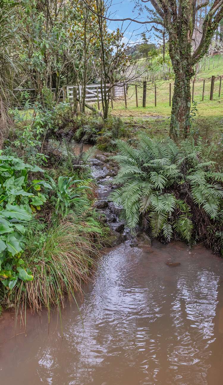 55 Lauries Drive Kauri_38