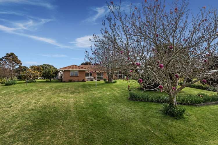 304 Woodlands Road Opotiki Coastal_9