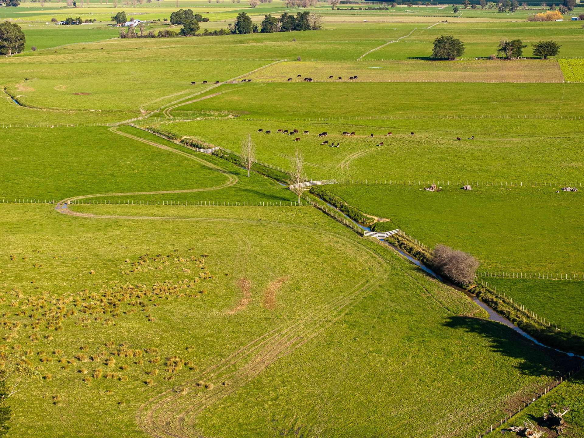 326 Cornwall Road East Taratahi_0