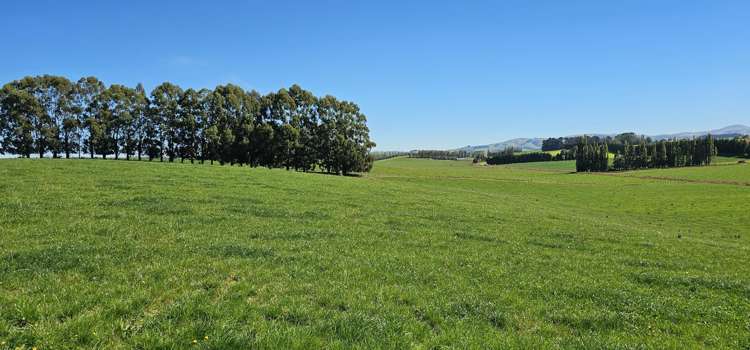 465 Adam Fleming Road Crossans Corner_25