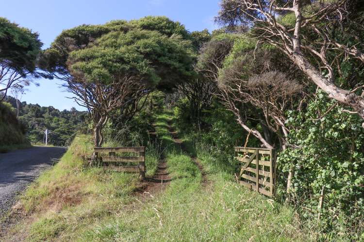 Whaanga Road Raglan_5