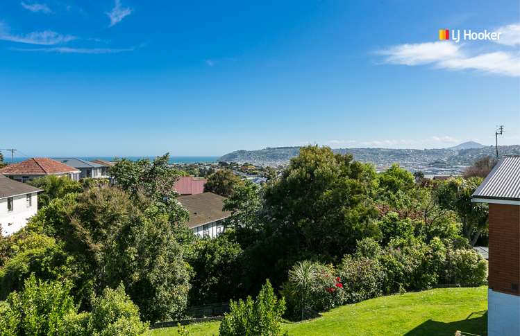 132 Larnach Road Waverley_15