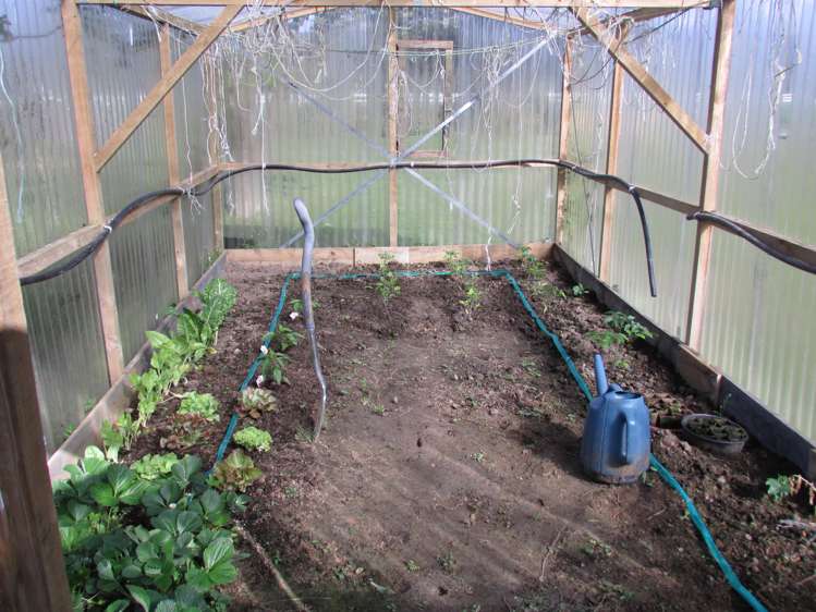 65 Crampton Road Reefton_22