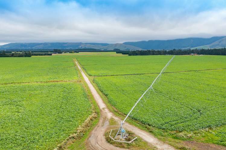 130 Glentui Bennetts Road Oxford_11