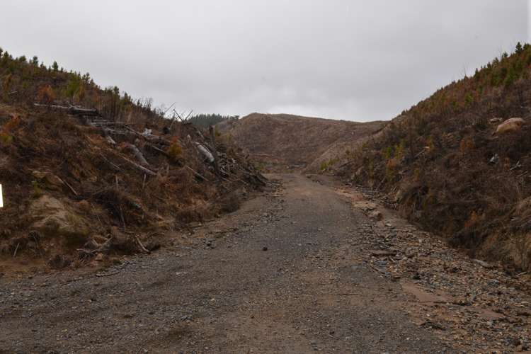 Ongarue Stream Road Waimiha-Ongarue_3