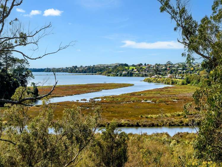 35 Waimapu Street Greerton_14