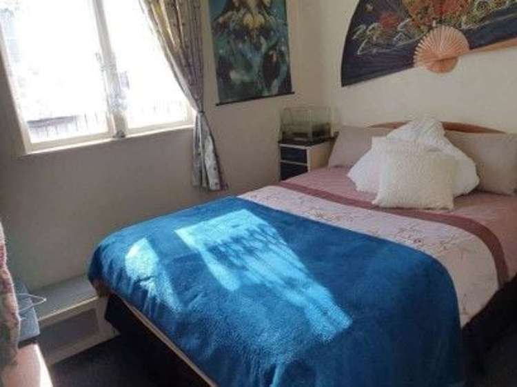 46 Snell Street Morrinsville_8