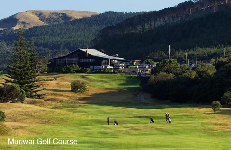 lot 7/91 Freshfields Road Waimauku_11