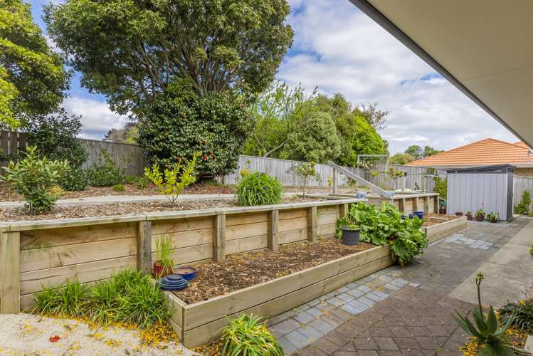 64 Cedar Drive Paraparaumu Beach_14