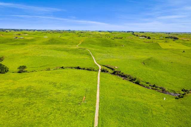 617 Parihaka Road Pungarehu_3