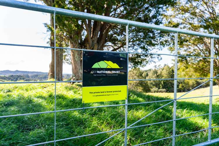 Baker Road Maungatapere_15