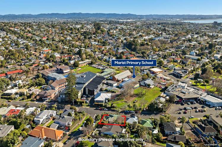 18 Alberton Avenue Mt Albert_14