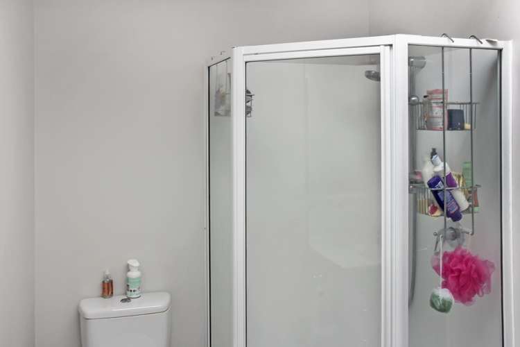 164a Strickland Street Sydenham_8