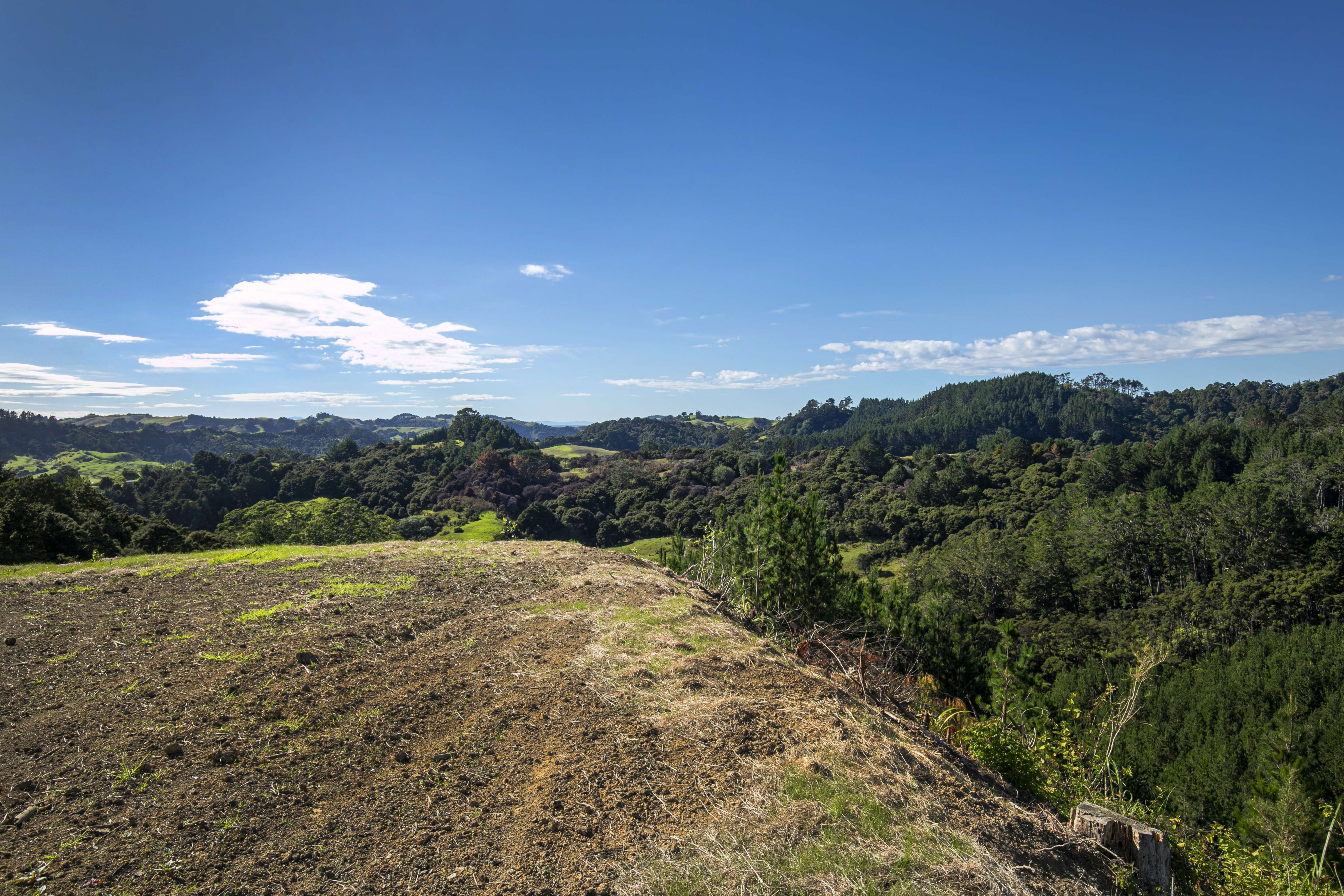 Lot 3, 163 Ahuroa Road Puhoi Rodney Rural Property For Sale One