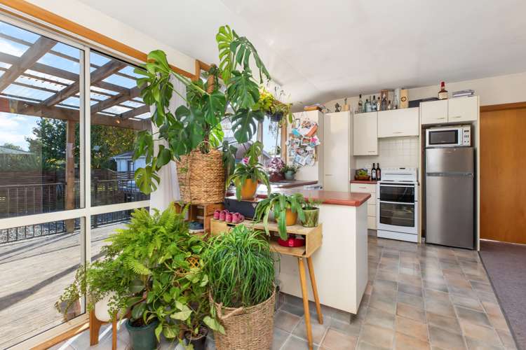 164 Grove Street Tinwald_8