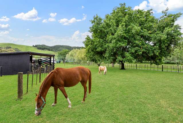 Picture Perfect: Room for Horses!