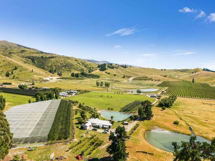 Ripponvale Road Cromwell_13